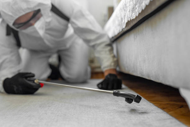Professional Bed Bug Control technician working in Kittery Point, ME