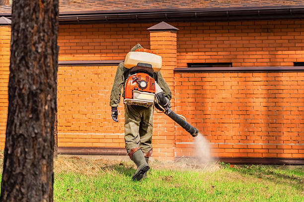 Trusted Emergency Pest Control service in Kittery Point, ME - Nex Pest Control